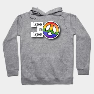 Love Is Love Hoodie